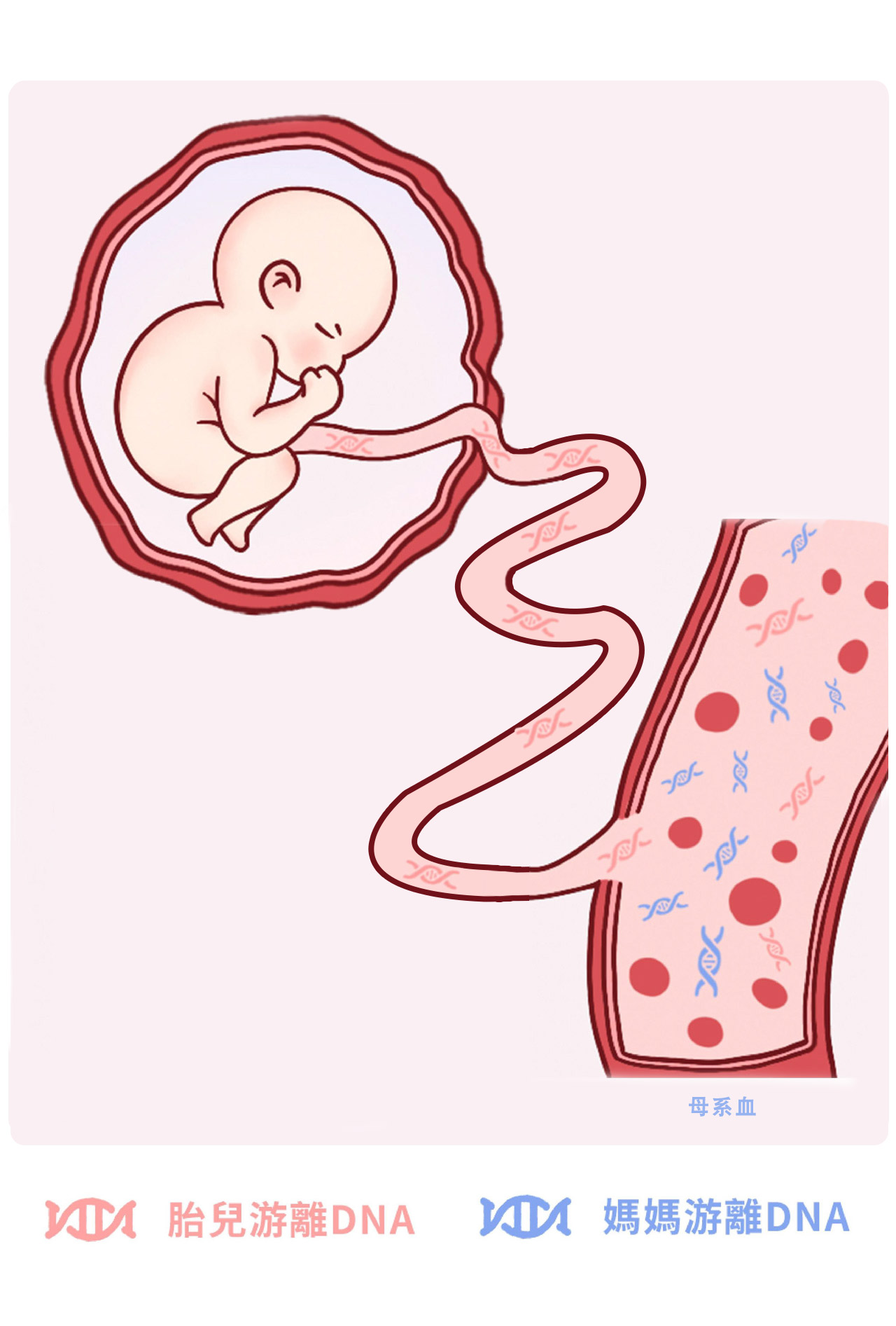 Y Precision 检测示意图（占位图）